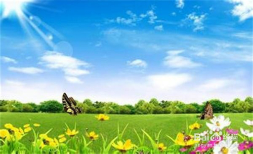 七字锄头绿草蓝天四波唳脆声打一最准确生肖详细解答、科学解答解释落实